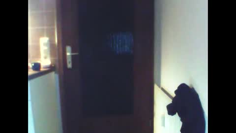 schnibschnab online show from February 2026 02:11:01 AM