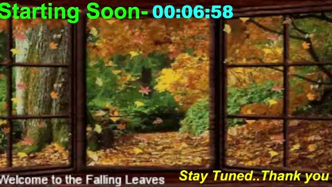 ...PHIL... online show from November 2025 01:04:02 AM