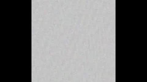 Scolw  online show from December 2025 11:19:01 AM