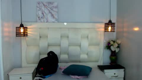 Snapshot of scottdamar chatting on October 2025 06:45:02 PM Damar online show from October 2025 06:45:02 PM