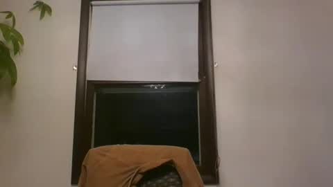 scottpbi52 online show from December 2024 10:37:01 AM