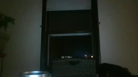 scottpbi52 online show from February 2025 02:07:02 AM