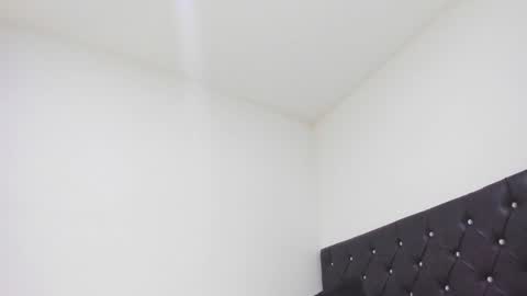 SEBAS  online show from February 2025 01:21:02 AM