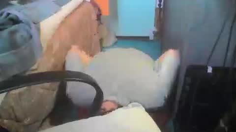 hiroshi satanaka online show from April 2026 11:53:02 AM