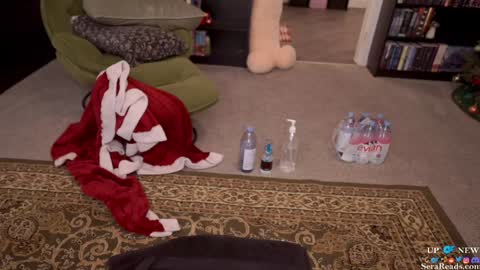 Snapshot of serareads chatting on December 2024 05:38:02 AM SeraReads online show from December 2024 05:38:02 AM