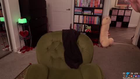 Snapshot of serareads chatting on February 2025 06:45:02 AM SeraReads online show from February 2025 06:45:02 AM