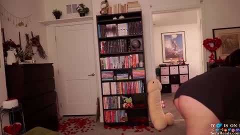 Snapshot of serareads chatting on February 2025 05:51:01 AM SeraReads online show from February 2025 05:51:01 AM