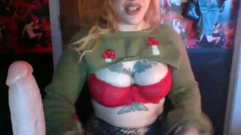 serencigarra online show from November 2025 02:50:01 PM