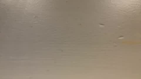 sexislitpuss69 online show from January 2025 11:40:01 PM