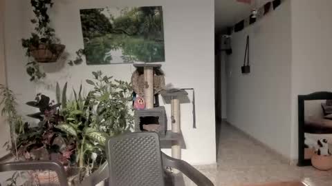         online show from April 2026 11:29:01 PM