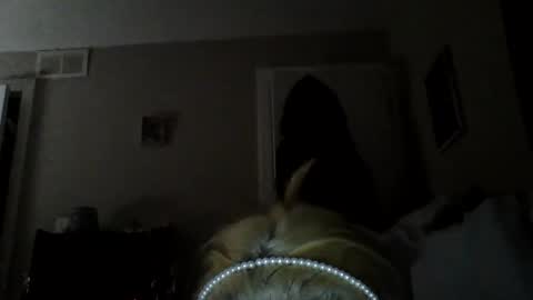 Snapshot of sexxiibossbabe chatting on November 2025 11:35:01 AM sexxiibossbabe online show from November 2025 11:35:01 AM