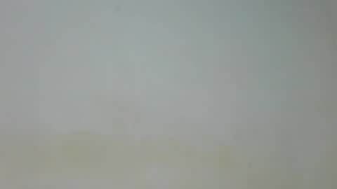 Snapshot of sexy_celeh chatting on July 2026 02:55:01 AM sexy_celeh online show from July 2026 02:55:01 AM