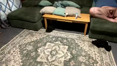 sexycouple762734 online show from April 2026 11:35:01 PM