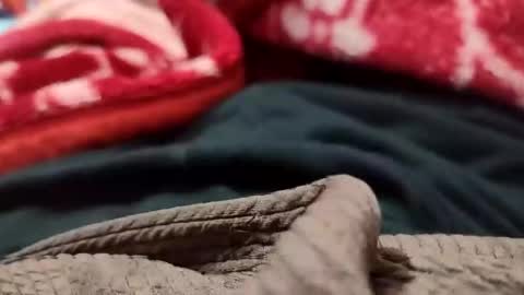 Sexyd online show from December 2024 05:35:02 PM