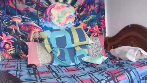 Mike online show from January 2026 04:56:01 PM