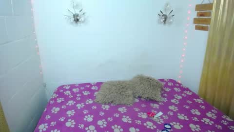Snapshot of sexykata_of chatting on June 2026 11:32:01 PM Kata sexy online show from June 2026 11:32:01 PM