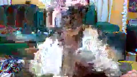 sexylo52 online show from May 2026 11:07:02 AM