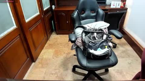 R A C H E L online show from November 2025 12:04:01 PM