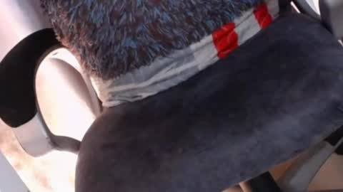    online show from February 2025 05:10:01 AM