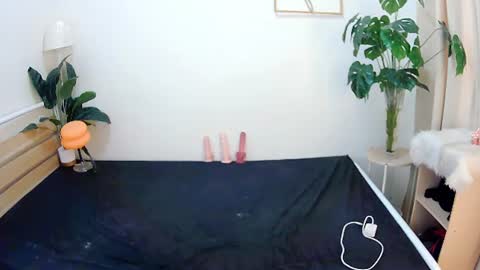 Snapshot of sexytrixie11 chatting on June 2026 03:47:02 AM sexytrixie11 online show from June 2026 03:47:02 AM