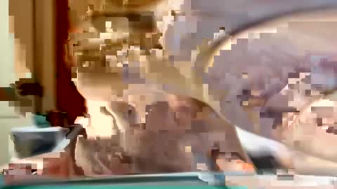 sexyy_red08 online show from November 2025 06:49:01 AM