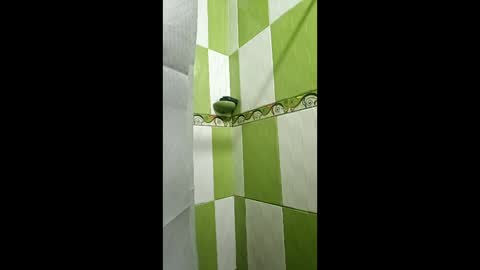 shanelle7 online show from February 2026 12:13:02 PM