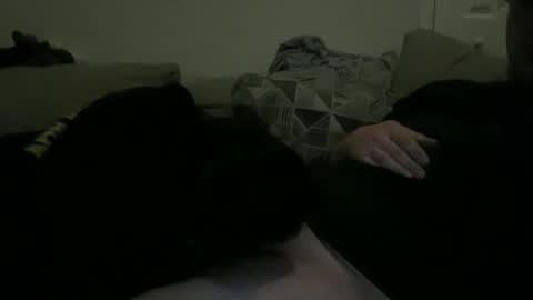 sharedhus online show from January 2025 06:16:02 AM