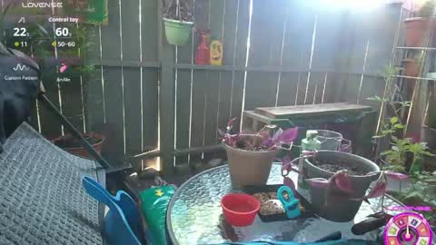 Snapshot of sheilyn_smith chatting on June 2026 02:02:02 AM sheilyn_smith online show from June 2026 02:02:02 AM