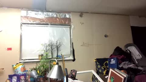 Snapshot of shelbybaby01 chatting on March 2025 11:42:02 AM Shelby holes online show from March 2025 11:42:02 AM