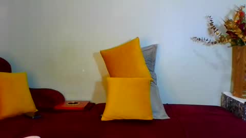 Snapshot of shelia420715 chatting on July 2026 08:29:02 PM shelia420715 online show from July 2026 08:29:02 PM