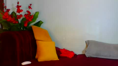 Snapshot of shelia420715 chatting on July 2026 07:28:02 AM shelia420715 online show from July 2026 07:28:02 AM