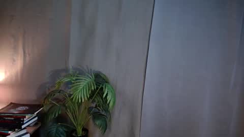 Snapshot of shes_notme chatting on March 2026 01:56:02 AM Lana But you can spell it backwards online show from March 2026 01:56:02 AM