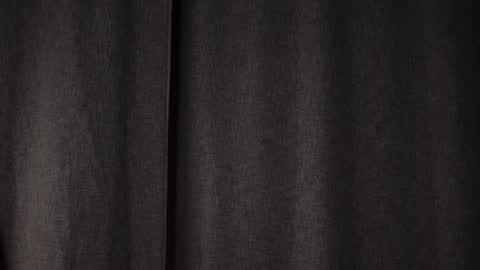 Snapshot of shickshackshock chatting on January 2025 08:22:02 PM Iris online show from January 2025 08:22:02 PM