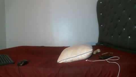 Shi-ro online show from February 2026 08:15:01 PM