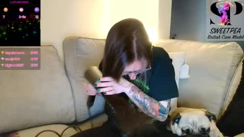 short sweetpea online show from November 2025 06:51:01 PM