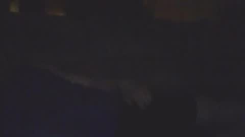 Bill online show from February 2026 08:19:01 AM