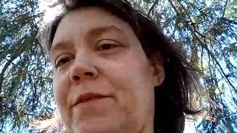 Bush with a class 3 rating online show from April 2026 05:48:02 PM