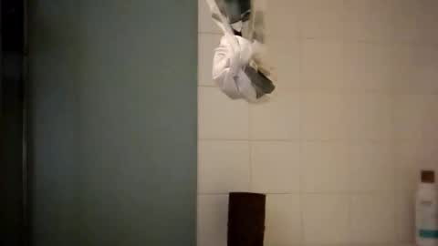 sigmaelixer online show from October 2025 08:37:01 AM