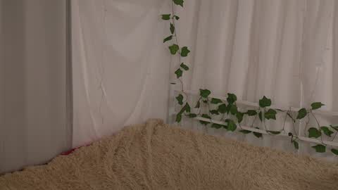 Snapshot of silent_chill chatting on January 2025 01:41:02 PM Chilli online show from January 2025 01:41:02 PM