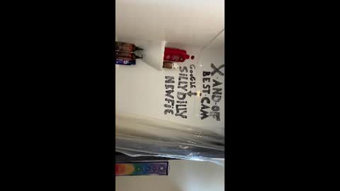 Silly Dilly Newfie online show from June 2026 04:26:02 PM