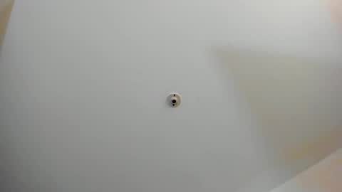 silvabranko online show from November 2025 11:07:02 PM