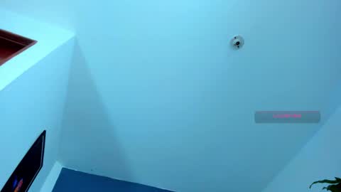 silvabranko online show from November 2025 11:03:01 PM