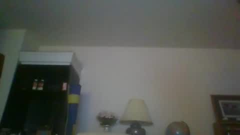 Snapshot of silverfunfox chatting on October 2025 03:12:02 AM silverfunfox online show from October 2025 03:12:02 AM