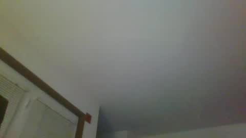 Snapshot of silverfunfox chatting on October 2025 04:01:02 AM silverfunfox online show from October 2025 04:01:02 AM