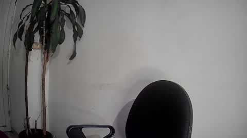 Snapshot of silviecollins chatting on December 2024 12:52:01 AM Silvie online show from December 2024 12:52:01 AM