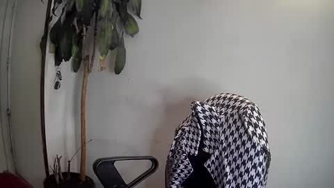 Snapshot of silviecollins chatting on January 2025 03:46:01 AM Silvie online show from January 2025 03:46:01 AM