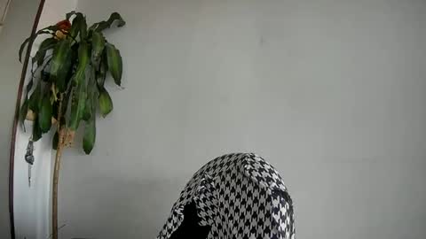 Snapshot of silviecollins chatting on January 2025 10:27:02 PM Silvie online show from January 2025 10:27:02 PM