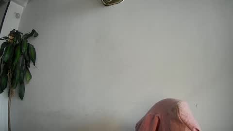 Snapshot of silviecollins chatting on February 2025 07:50:02 PM Silvie online show from February 2025 07:50:02 PM