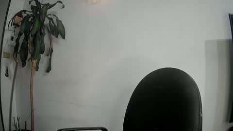 Snapshot of silviecollins chatting on March 2025 11:26:01 PM Silvie online show from March 2025 11:26:01 PM