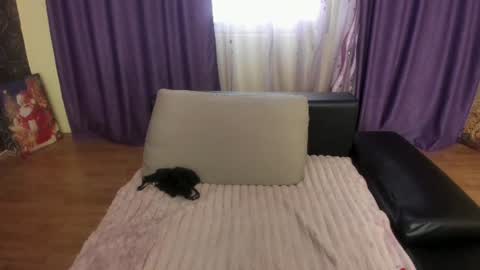Silvya online show from June 2026 06:55:02 AM